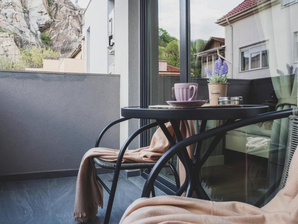 Stylish 1Bd - Free Private Garage Apartment Plovdiv Luaran gambar
